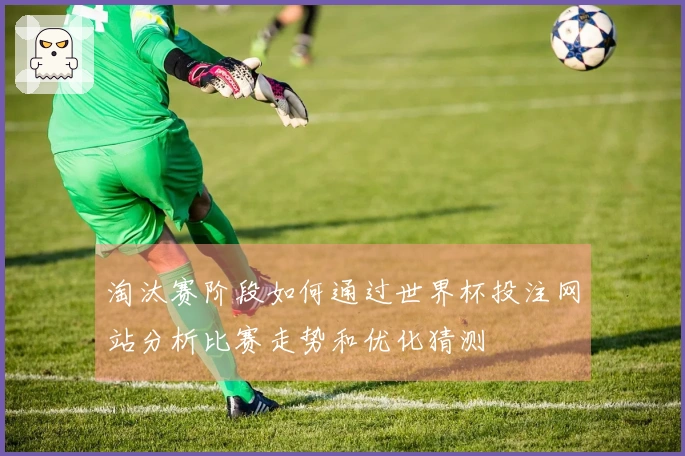 淘汰赛阶段如何通过世界杯投注网站分析比赛走势和优化猜测