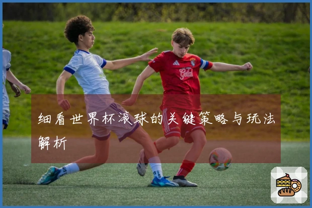 细看世界杯滚球的关键策略与玩法解析
