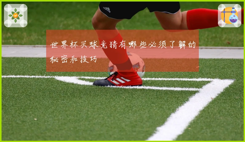 世界杯买球竞猜有哪些必须了解的秘密和技巧