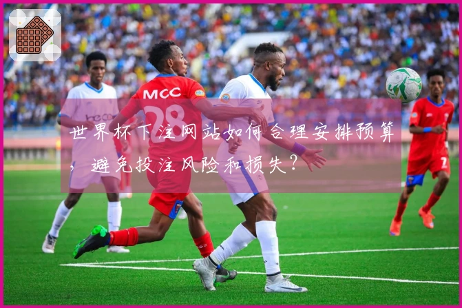 世界杯下注网站如何合理安排预算，避免投注风险和损失？