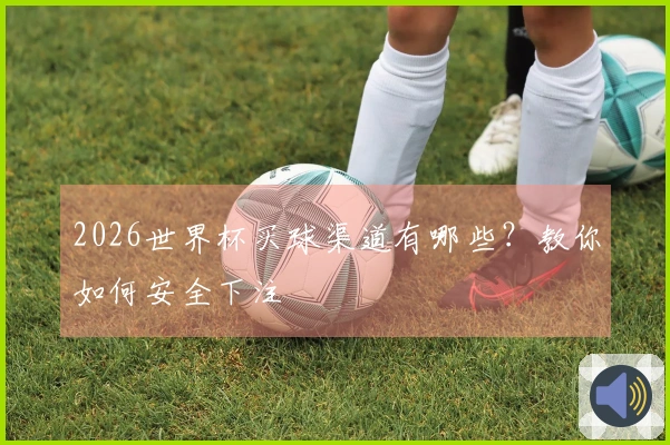 2026世界杯买球渠道有哪些？教你如何安全下注