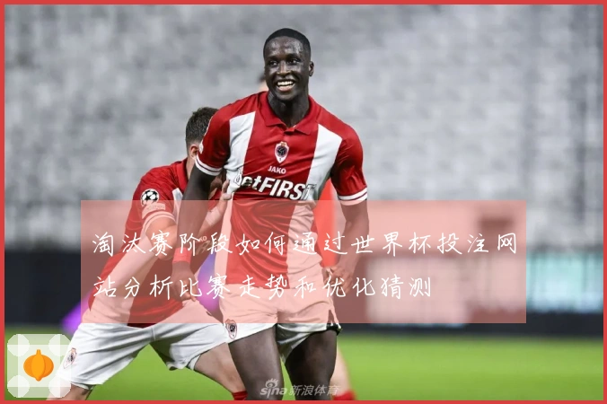 淘汰赛阶段如何通过世界杯投注网站分析比赛走势和优化猜测