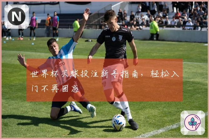 世界杯买球投注新手指南，轻松入门不再困惑